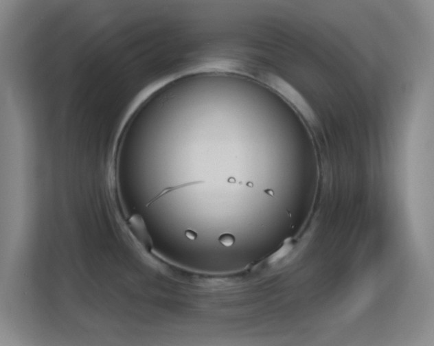 X0000113161436200909111005