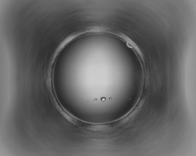 X0000113161437200909111005