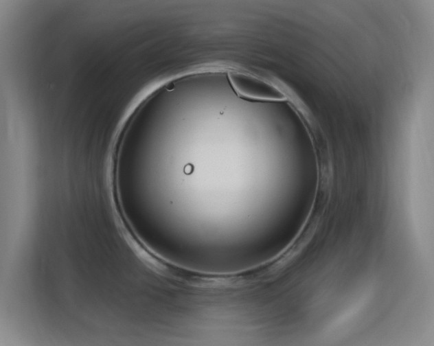 X0000113161438200909111005