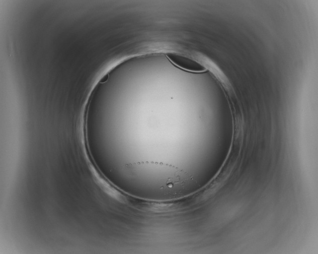 X0000113161439200909111005