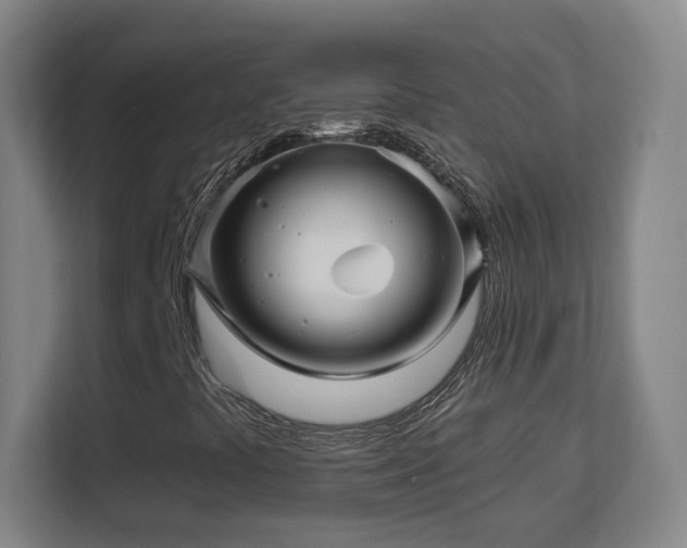 X0000113161441200909111005