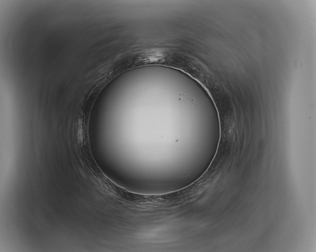 X0000113161442200909111005