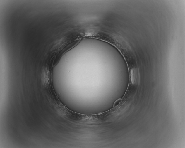 X0000113161443200909111005