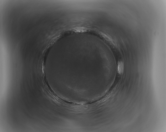 X0000113161444200909111005