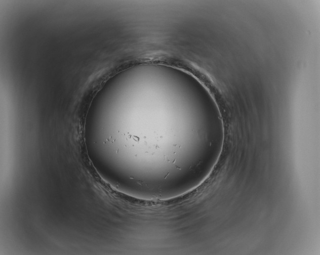 X0000113161447200909111005