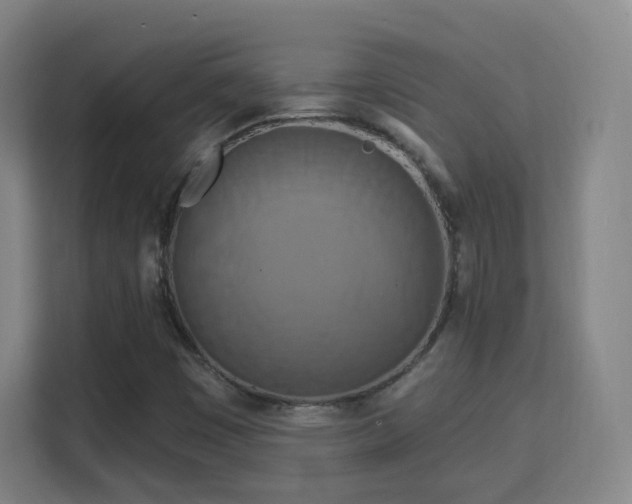 X0000113161449200909111005