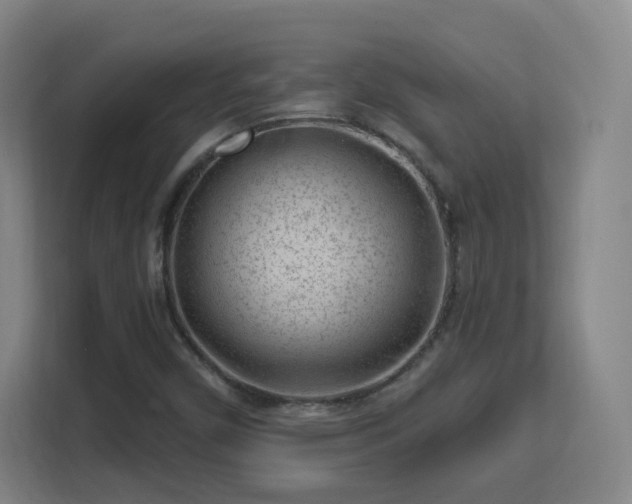 X0000113161450200909111005