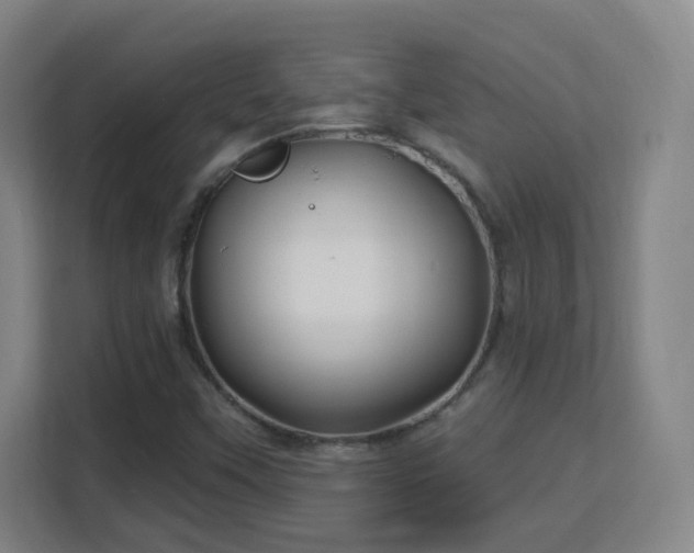 X0000113161451200909111005