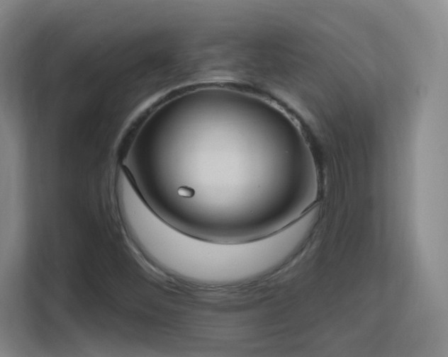 X0000113161452200909111005