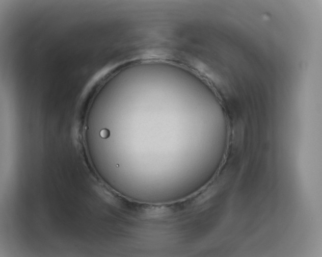 X0000113161454200909111005