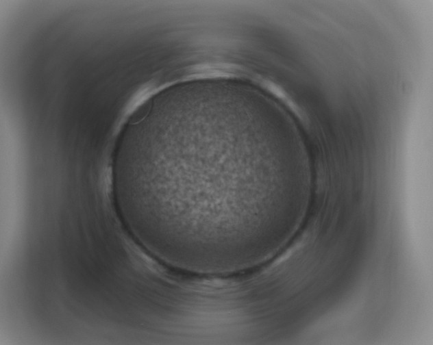 X0000113161459200909111004