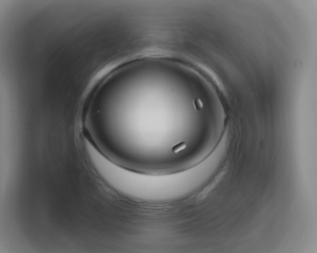 X0000113161461200909111004