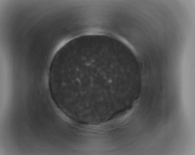 X0000113161463200909111004