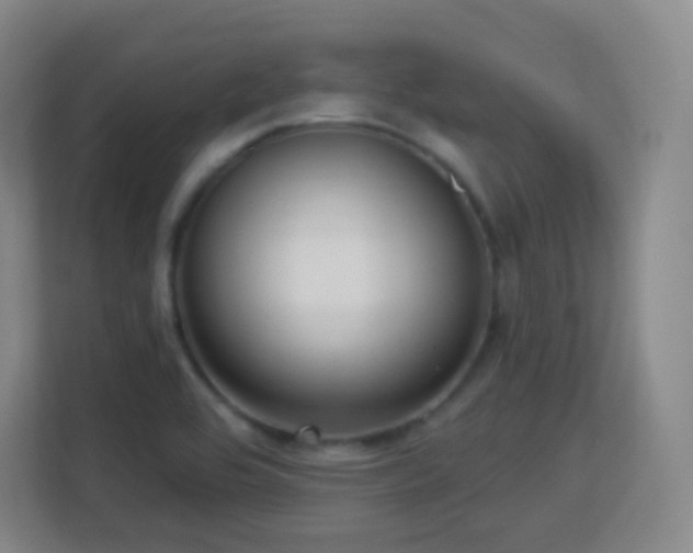 X0000113161464200909111004