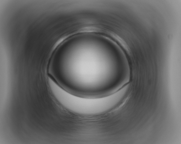 X0000113161465200909111004