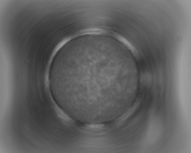 X0000113161466200909111004