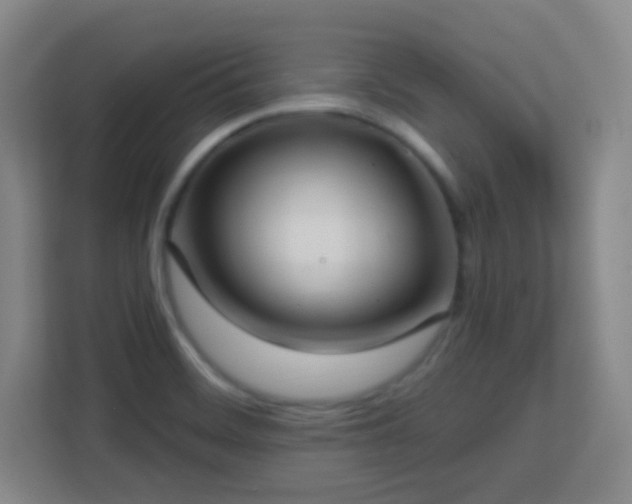 X0000113161468200909111004