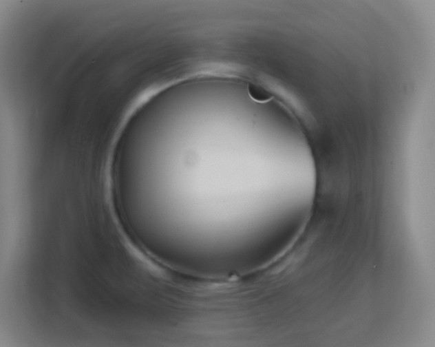 X0000113161471200909111004