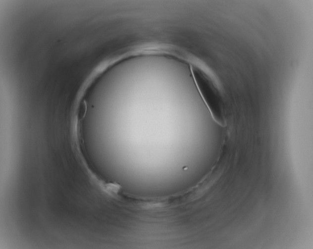 X0000113161472200909111004