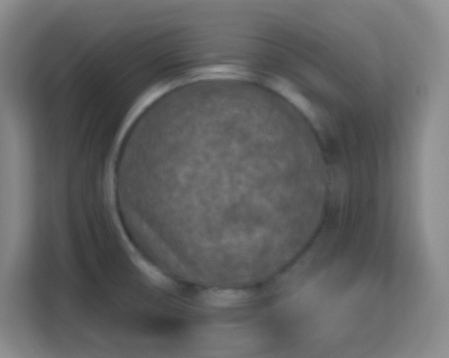 X0000113161474200909111004