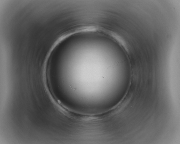 X0000113161475200909111004