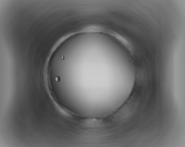 X0000113161478200909111004