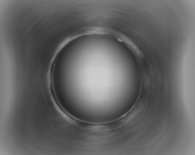 X0000113161479200909111004