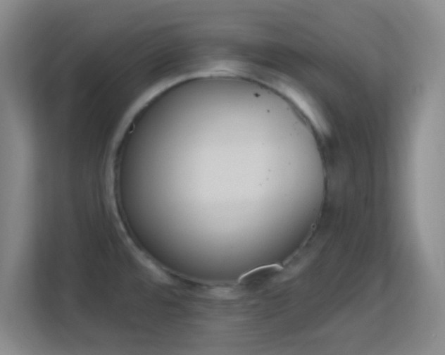 X0000113161480200909111004