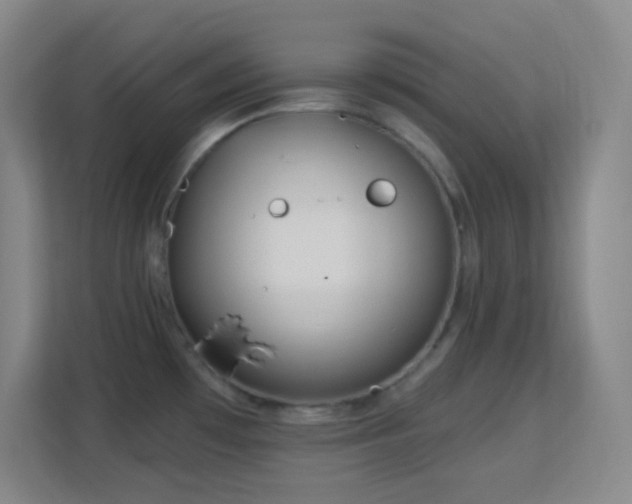 X0000113161481200909111004