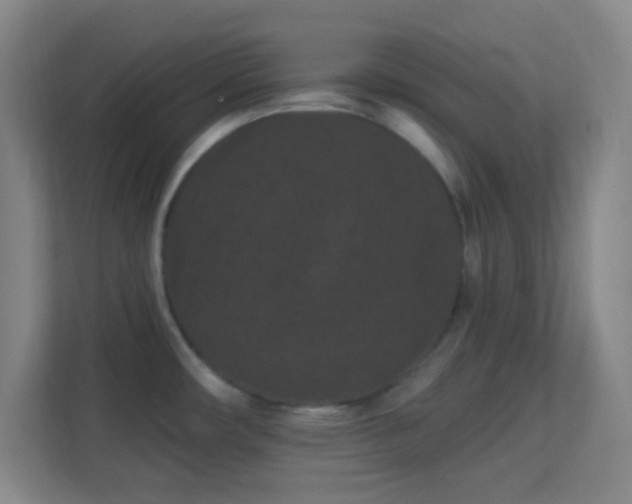 X0000113161482200909111004