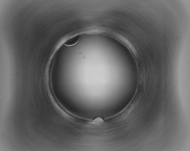 X0000113161483200909111004