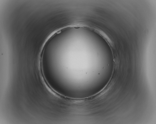 X0000113161484200909111004