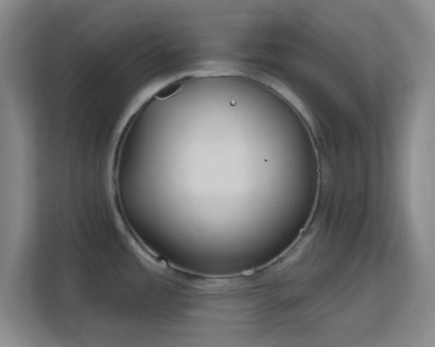 X0000113161485200909111004