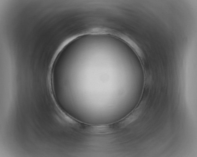 X0000113161486200909111004