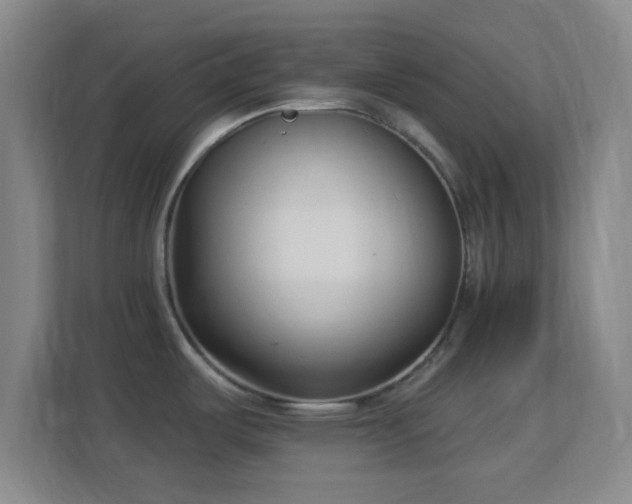 X0000113161487200909111004