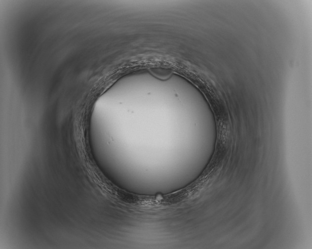 X0000113161489200909111003