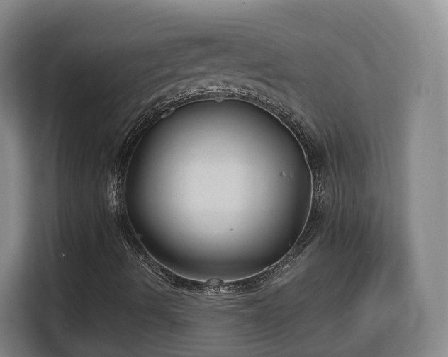 X0000113161490200909111004