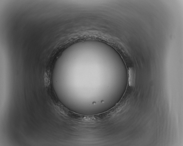 X0000113161491200909111004