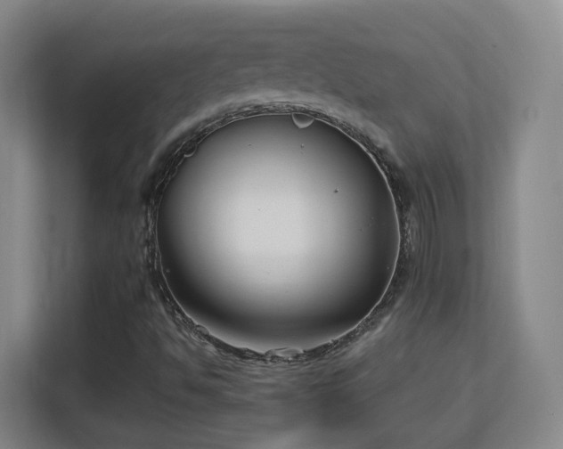 X0000113161494200909111004