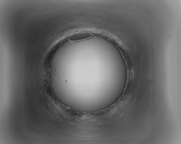 X0000113161496200909111004