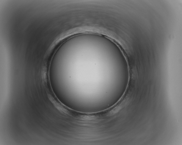 X0000113161499200909111004