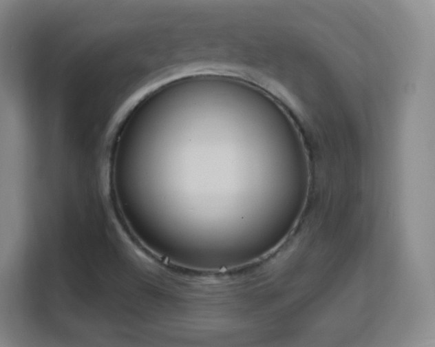 X0000113161504200909111004