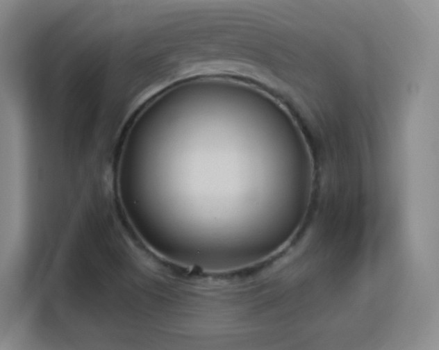 X0000113161505200909111004