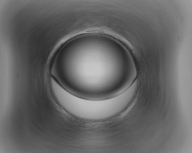 X0000113161506200909111004