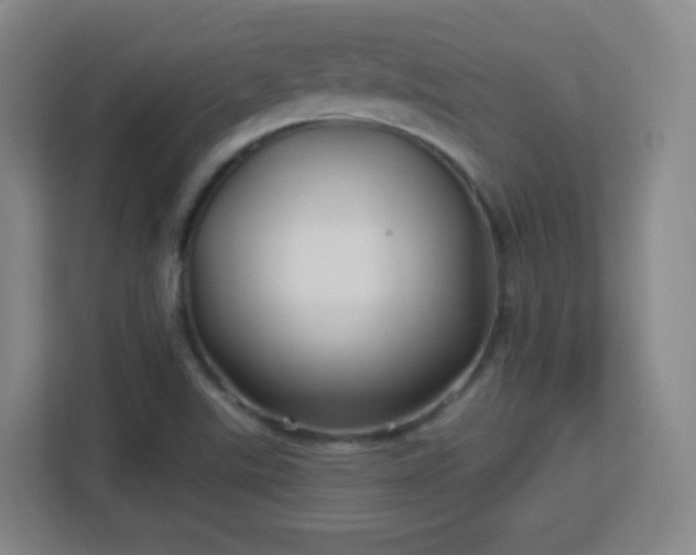 X0000113161507200909111004