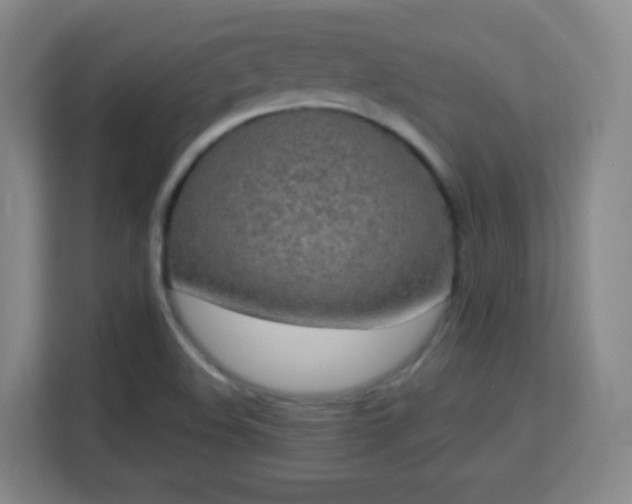 X0000113161508200909111004