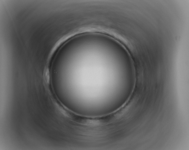 X0000113161509200909111004