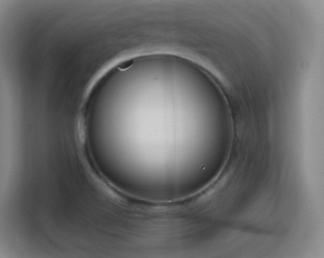 X0000113161510200909111004