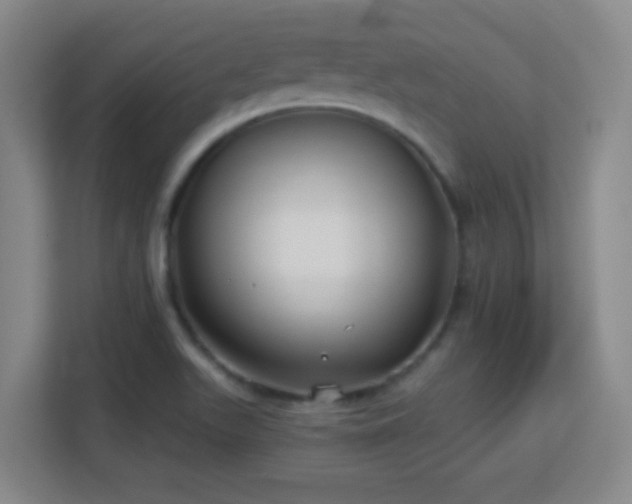 X0000113161511200909111004