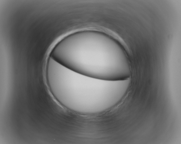 X0000113161512200909111004